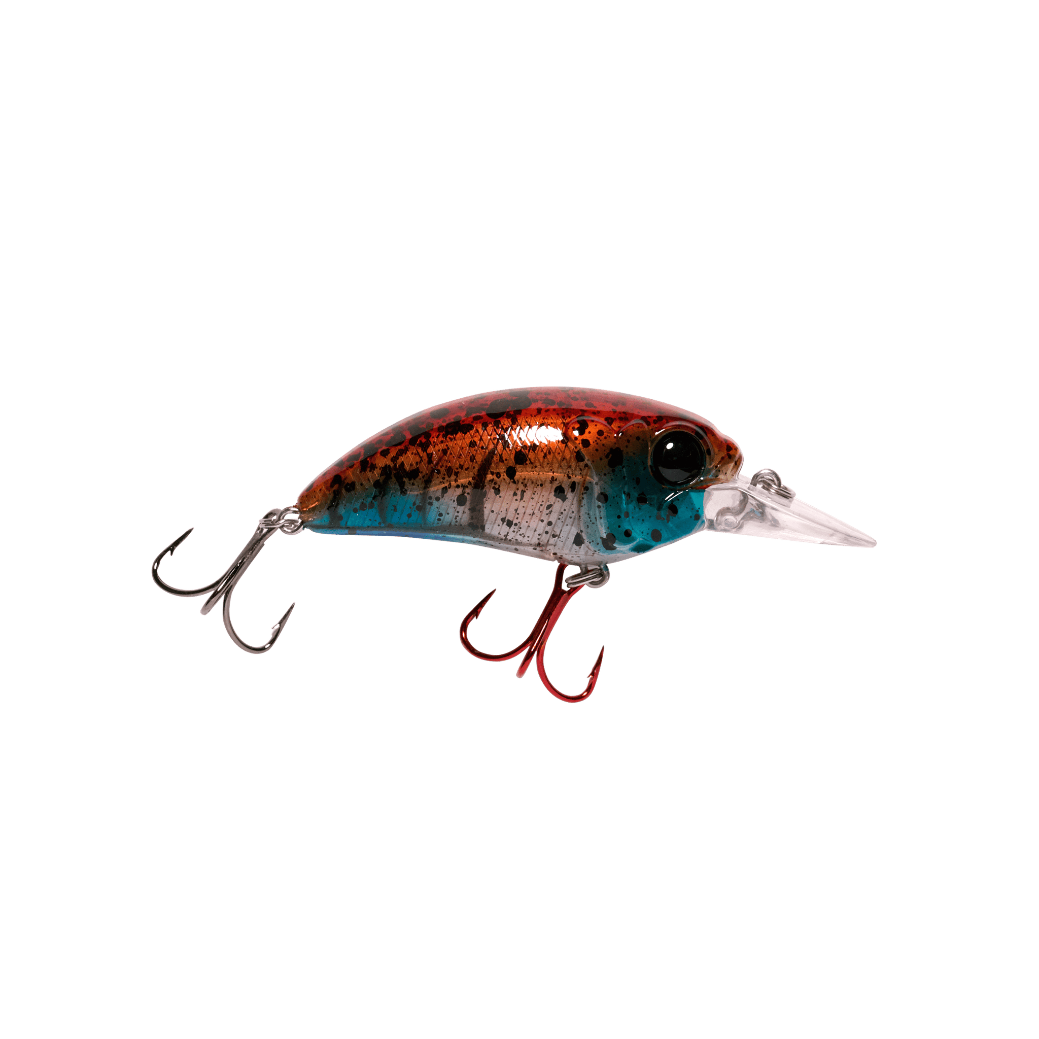 Seeker 6 Medium Diving Crankbait for Bass – MONSTERBASS