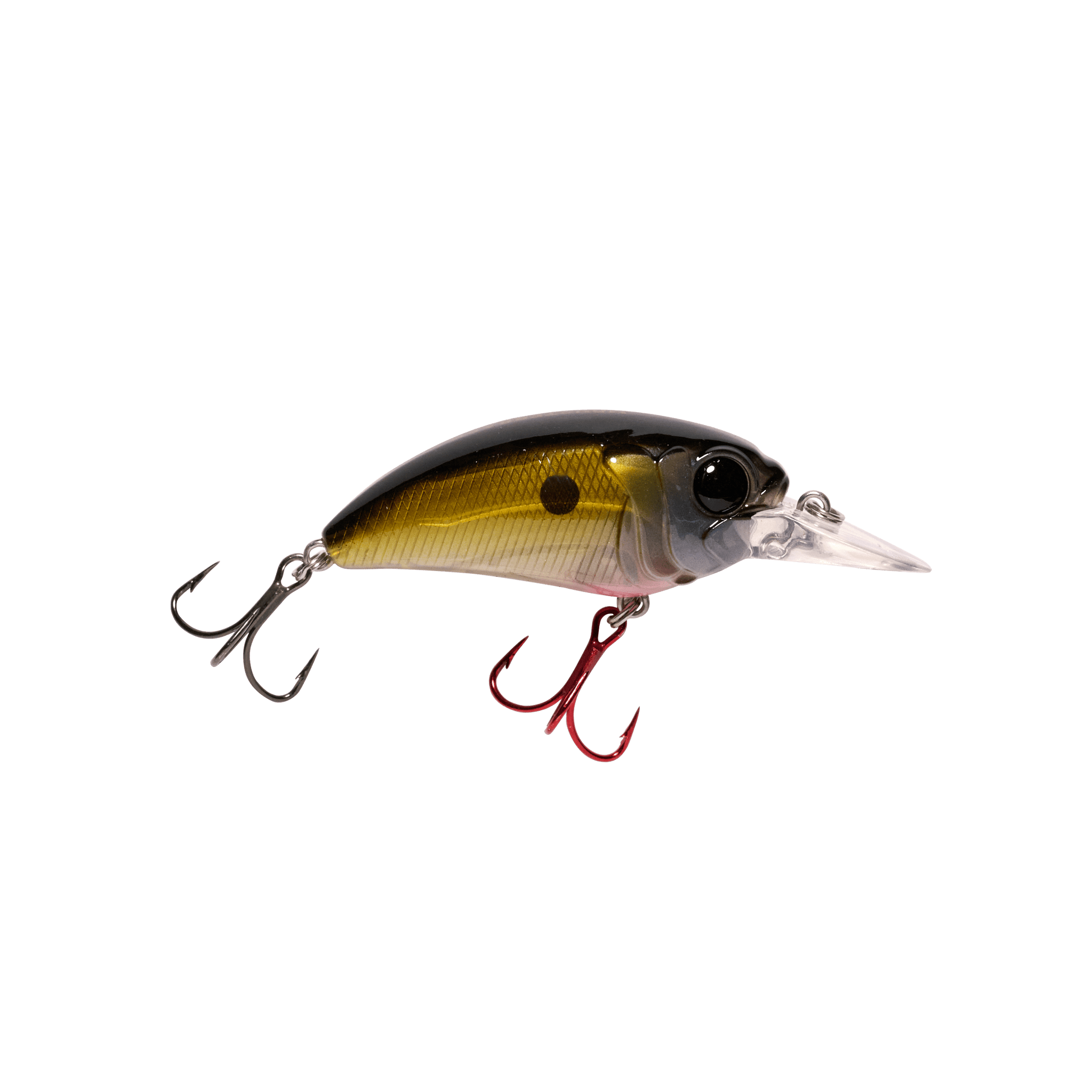 Seeker 6 Medium Diving Crankbait for Bass – MONSTERBASS
