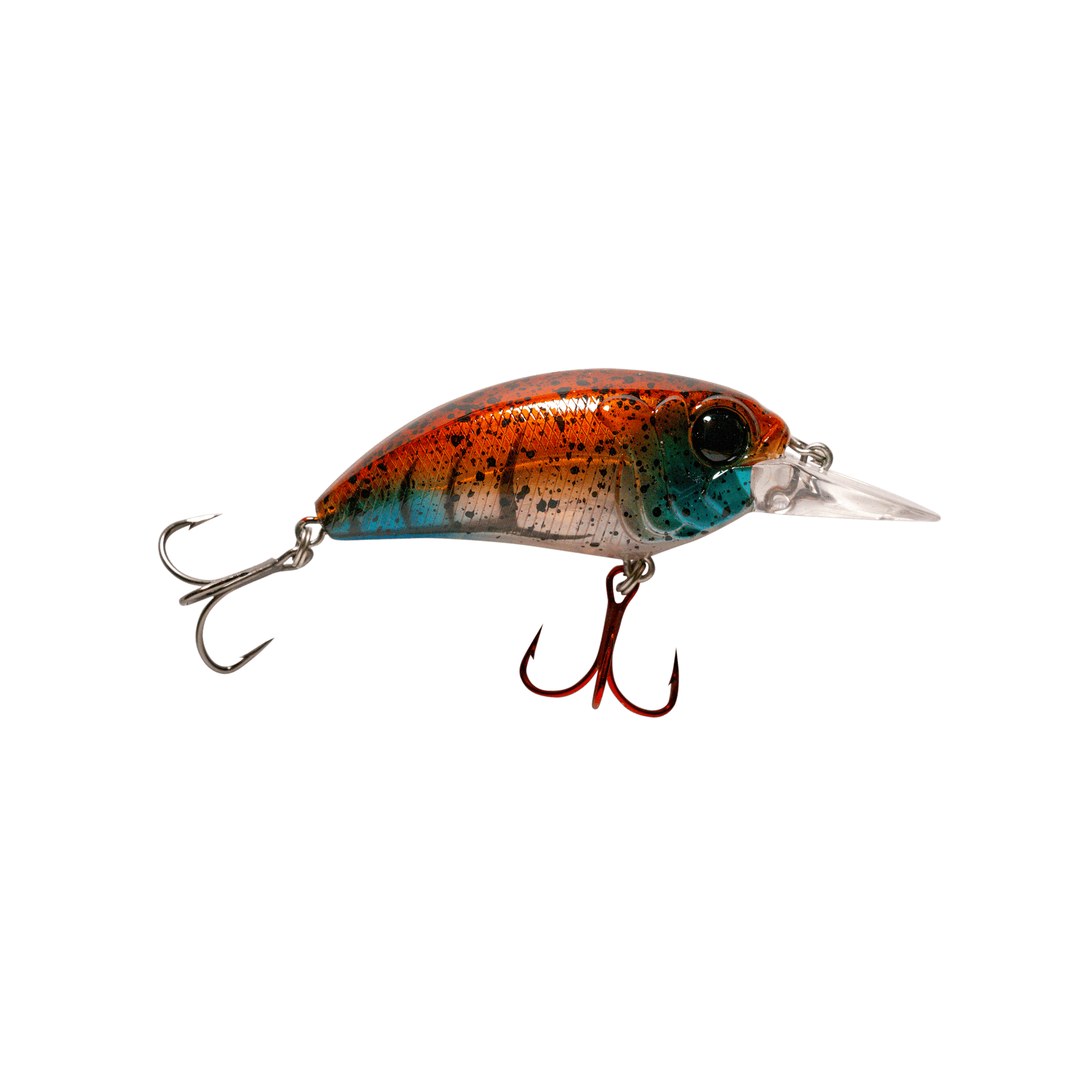 Seeker 6 Medium Diving Crankbait for Bass – MONSTERBASS