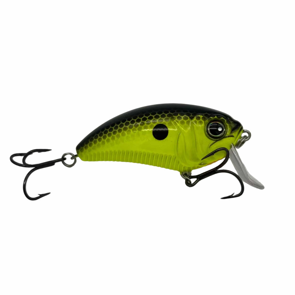 Super Freak | Tournament Series – MONSTERBASS