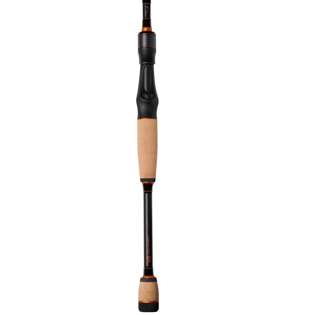 cookie monster fishing pole LUNKERSTICK – MONSTERBASS