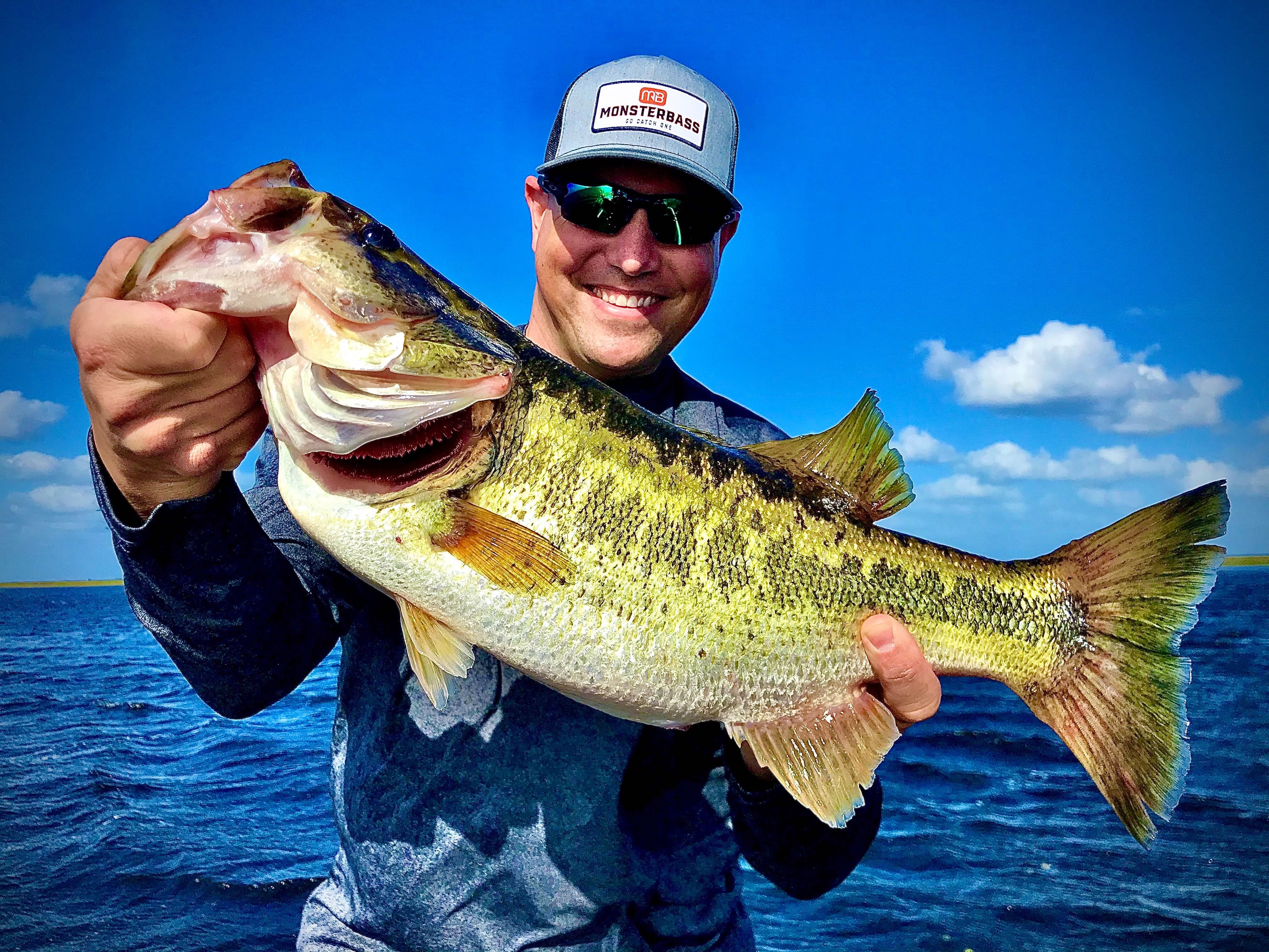 MONSTERBASS Platinum Bass – Box 10726