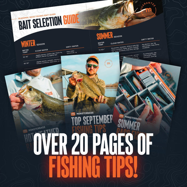 MONSTERBASS Subscription Box Platinum Series: monthly