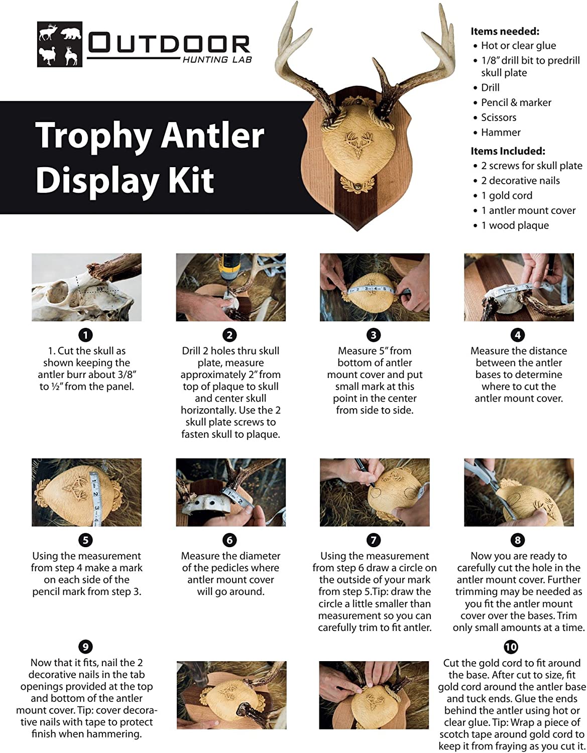 Outdoor Hunting Lab Antler Plaque Antler Plaques