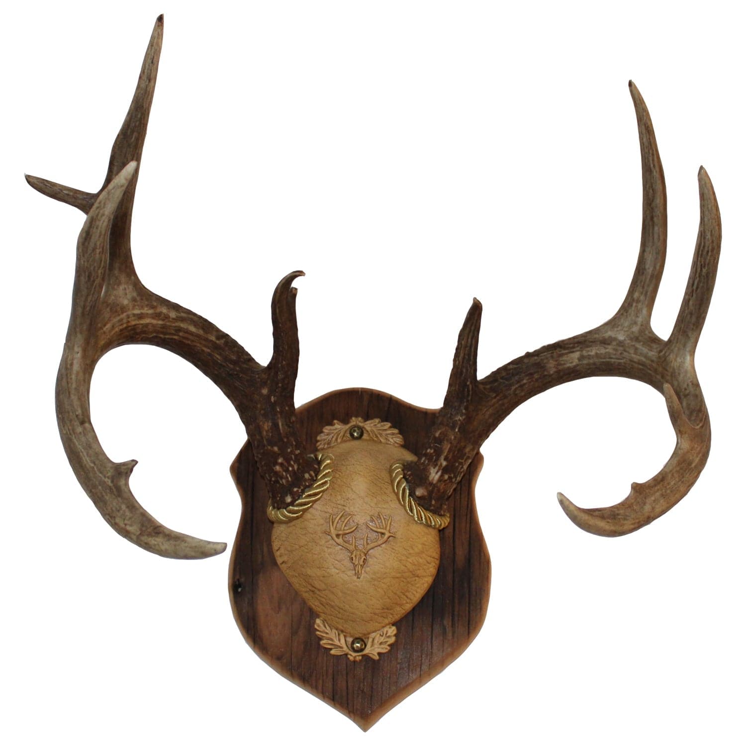Outdoor Hunting Lab Antler Plaque Old Barnwood Antler Plaques