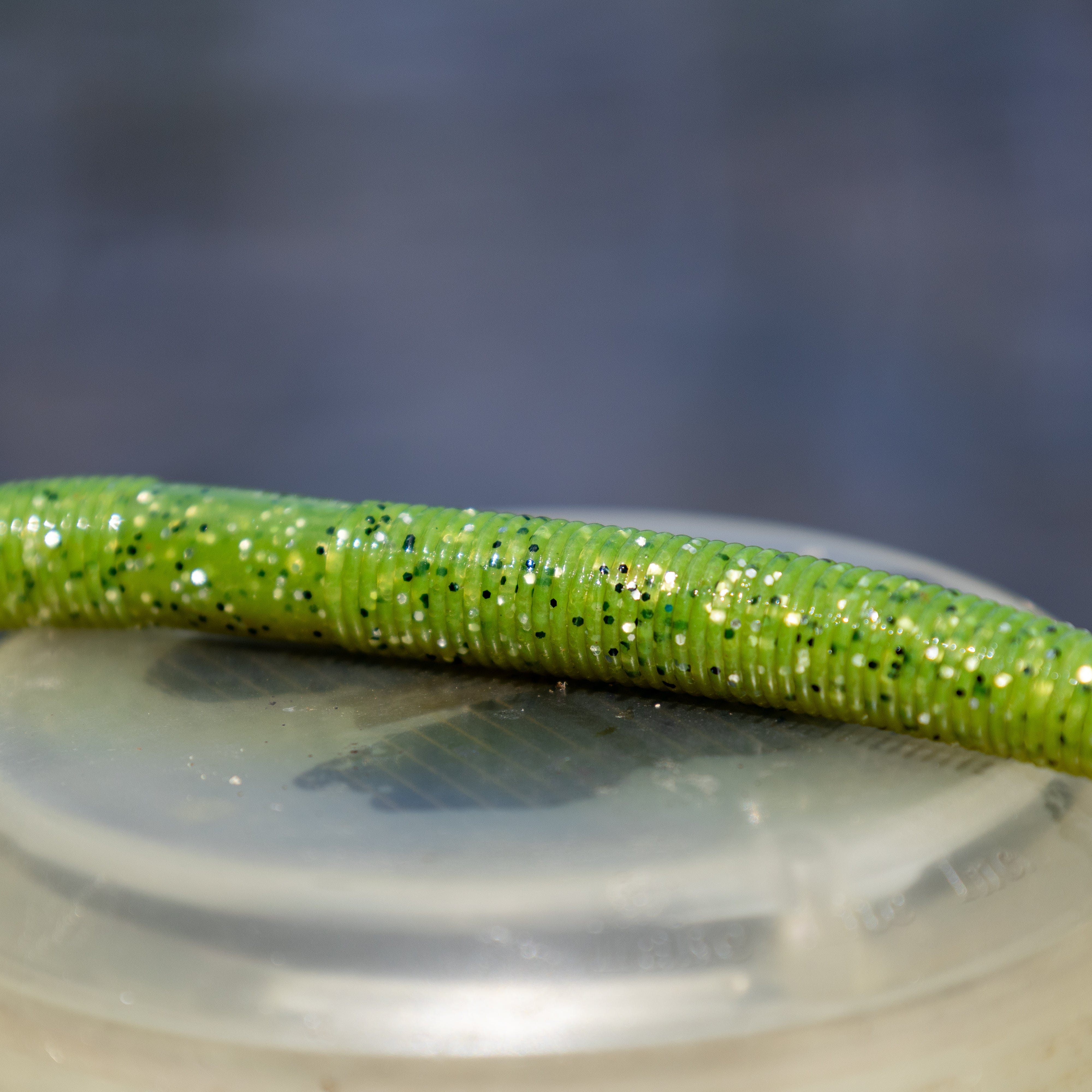 Reaction Tackle Soft Plastic Baits Reaction Tackle Soft Plastic Wacky Worms 5.5in - 24 Pack