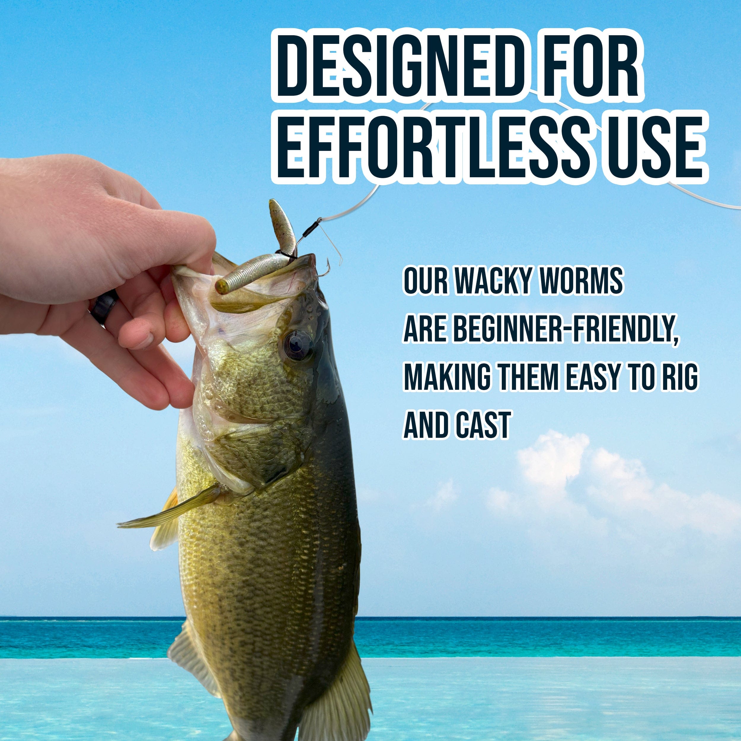 Reaction Tackle Soft Plastic Baits Reaction Tackle Soft Plastic Wacky Worms 5.5in - 24 Pack