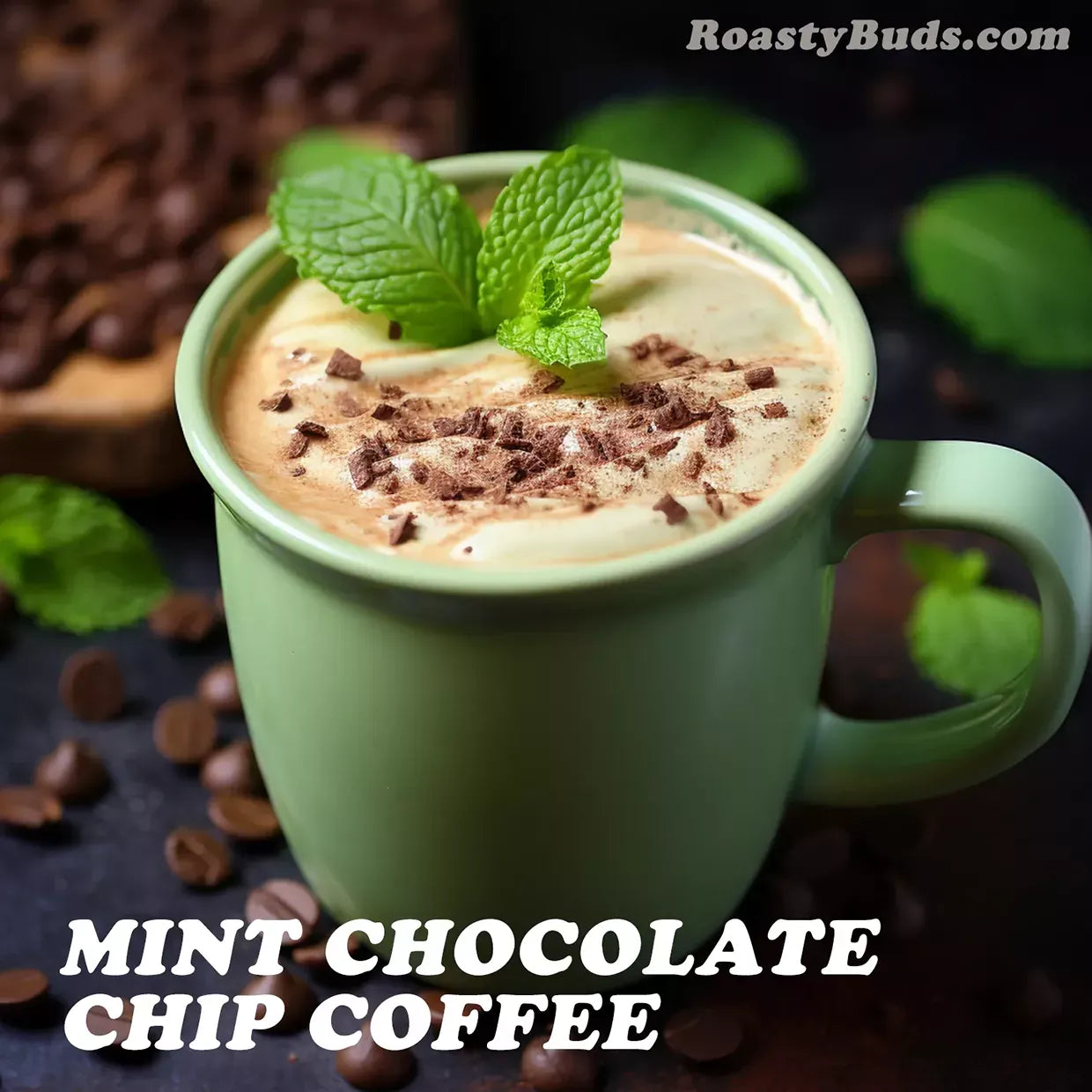 Roasty Buds Coffee Minty Choco Chip