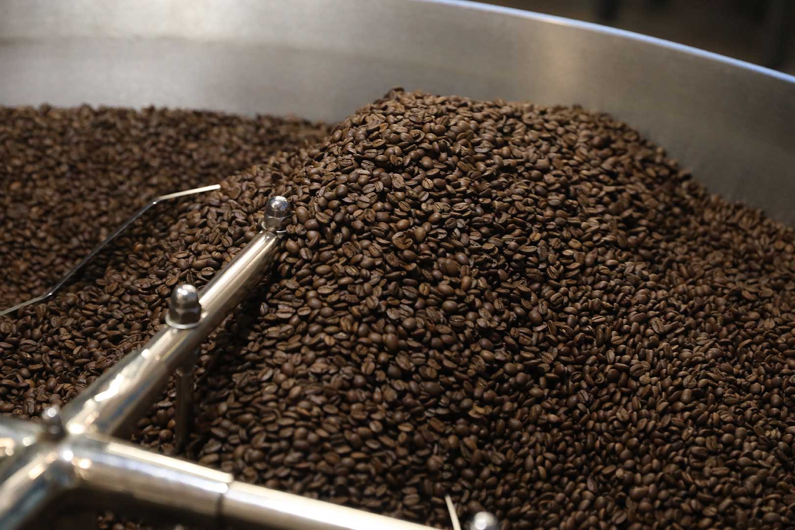 Roasty Buds Coffee Single-Origin Colombian