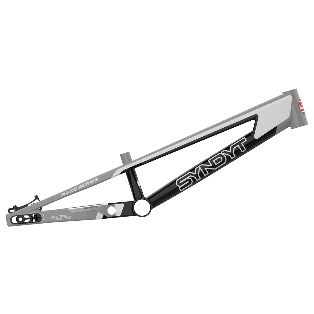 SYNDYT, LLC Bike Frame 22" / Gray SYB 220: 22” TT Pro 3XL BMX Frame