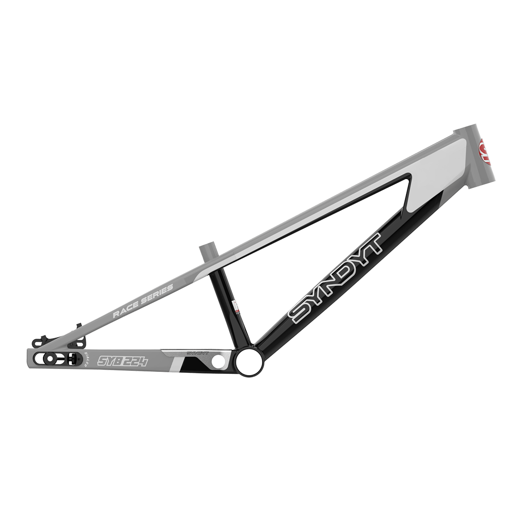 SYNDYT, LLC Bike Frame 22" / Gray SYB 224: 22” TT Pro 24 XL BMX Frame