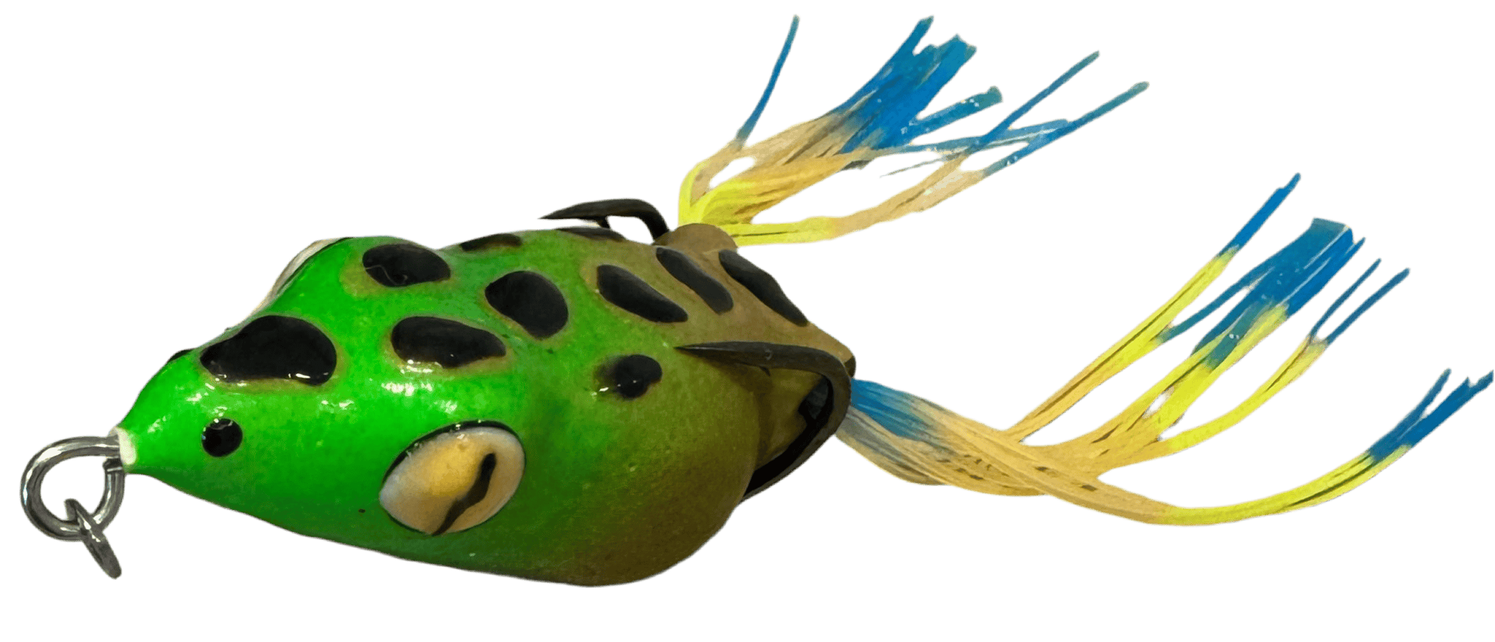 TARGARYEN Baits Frogs Marsh Frog Frogger