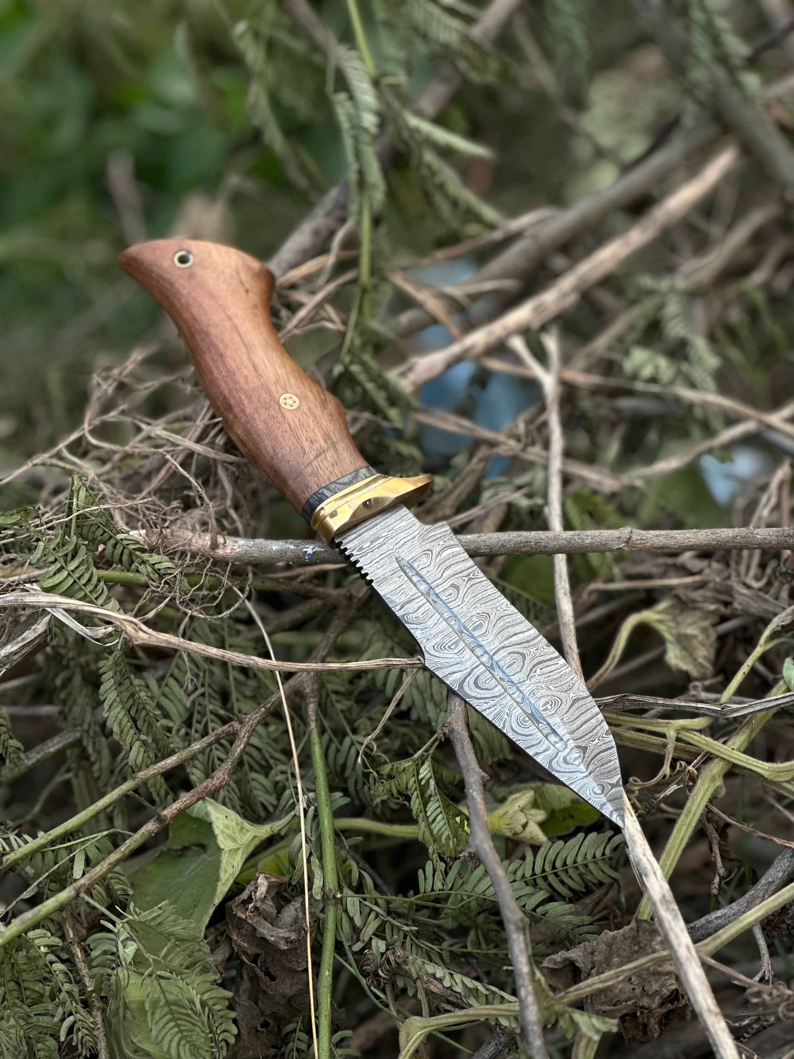 Texan Knives folding knives Hunting Blade – 10" Damascus Steel Knife with Rosewood Handle, Brass Guard & Leather Sheath