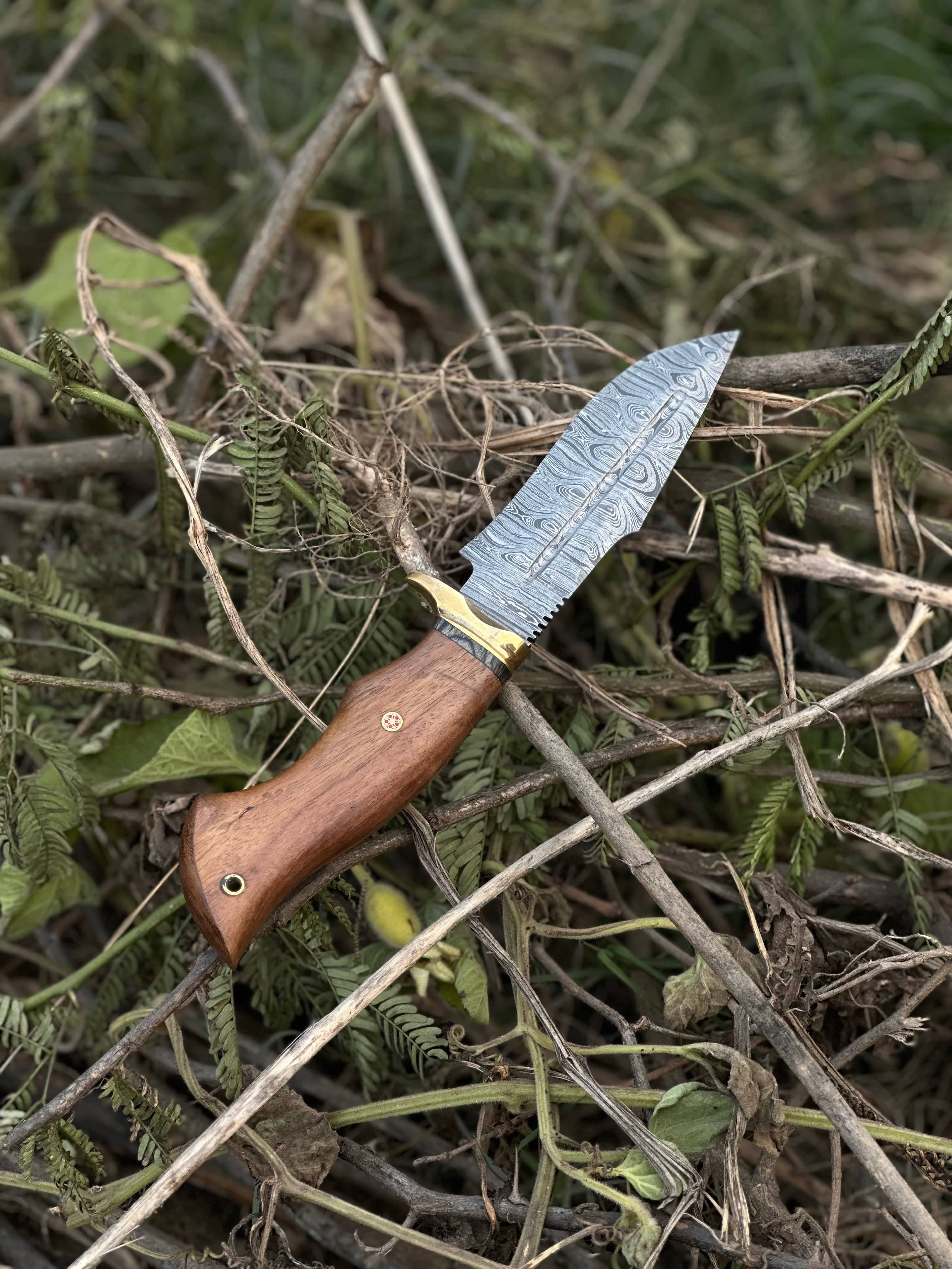 Texan Knives folding knives Hunting Blade – 10" Damascus Steel Knife with Rosewood Handle, Brass Guard & Leather Sheath