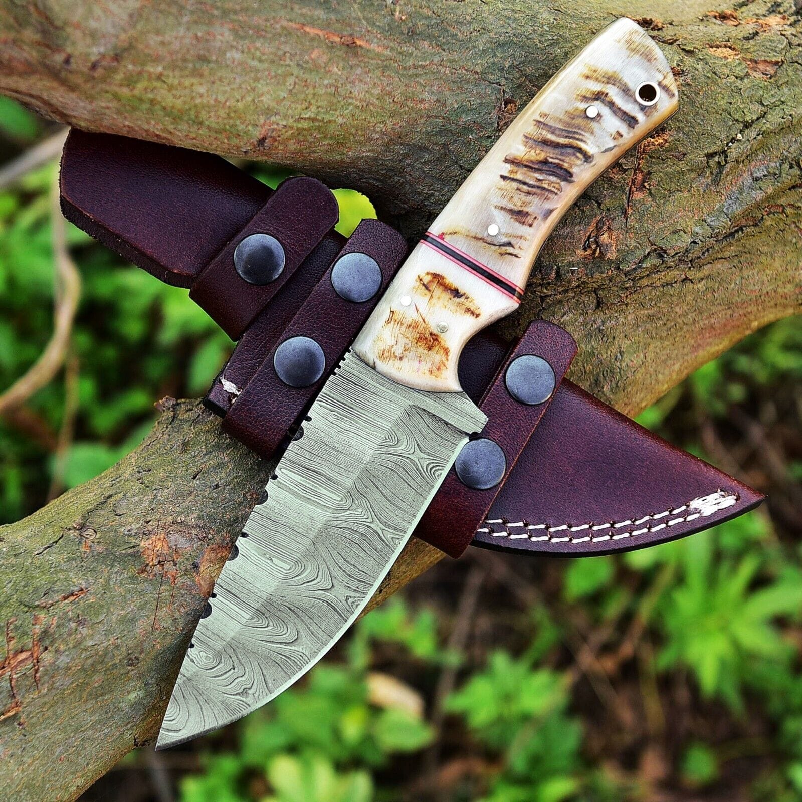 Texan Knives skinning knives Custom Handmade Damascus Steel Skinning Knife – 4.5-Inch Sheep Horn Handle