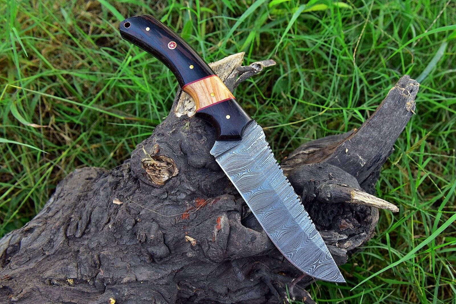 Texan Knives skinning knives Custom Handmade Skinning Knife – Damascus Steel, Buffalo Horn & Olive Wood Handle