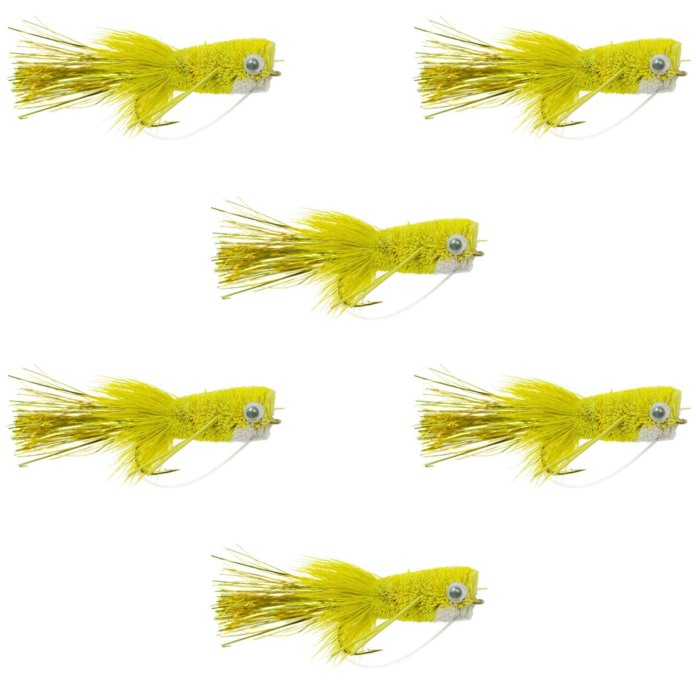 The Fly Fishing Place Bass Flies Flashtail Bass Popper  6 Flies Size 8 - Yellow Bass Fly Fishing Bug Wide Gape Bass Hooks With Weed Guard