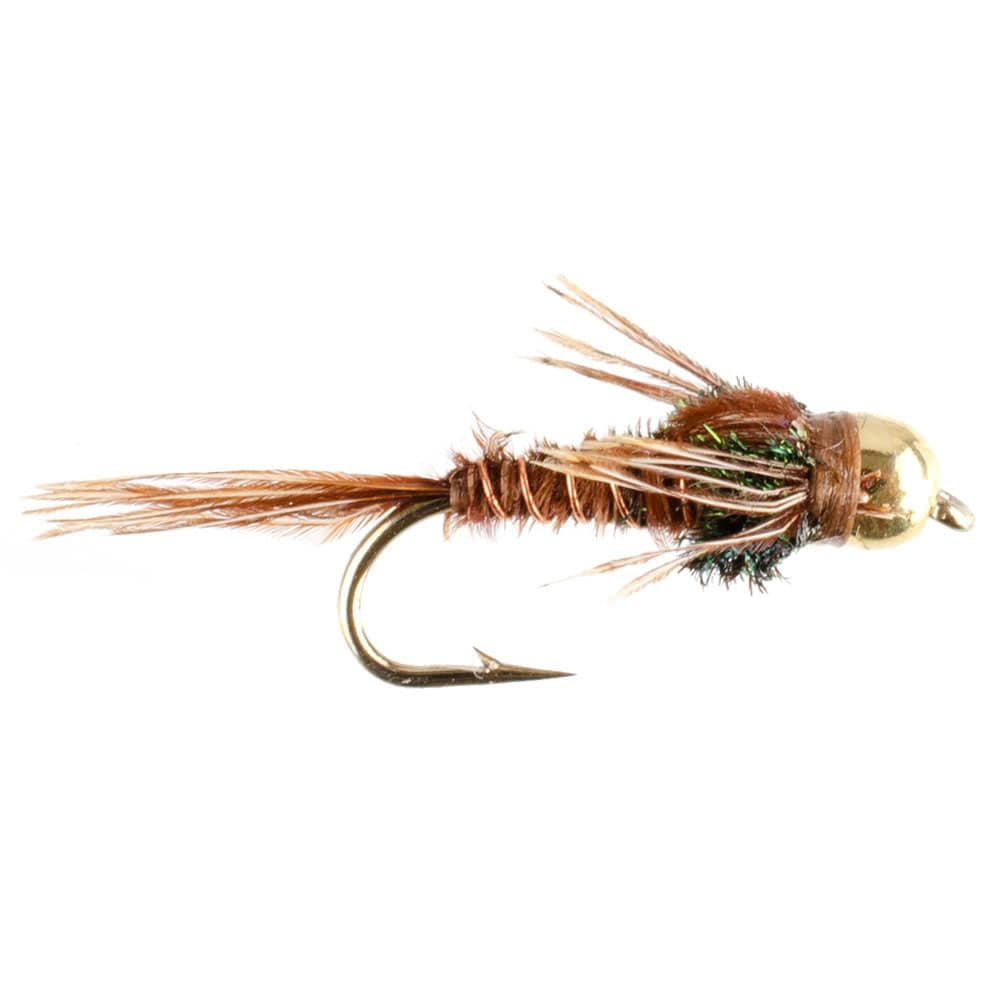 The Fly Fishing Place Fishing Fly Assortments Basics Collection - Bead Head Pheasant Tail Nymph Assortment - 10 Wet Flies - Hook Sizes 14, 16, 18