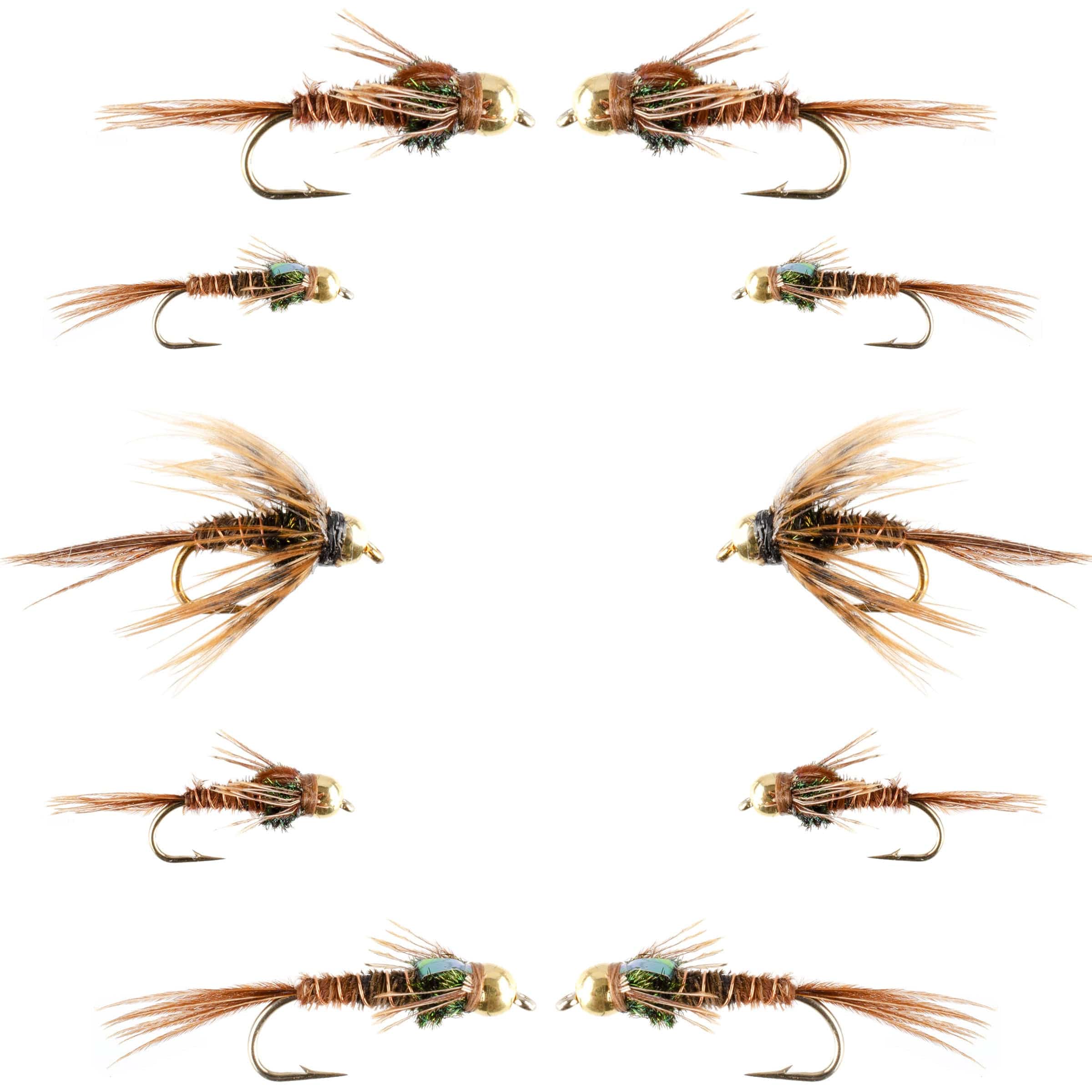 The Fly Fishing Place Fishing Fly Assortments Basics Collection - Bead Head Pheasant Tail Nymph Assortment - 10 Wet Flies - Hook Sizes 14, 16, 18