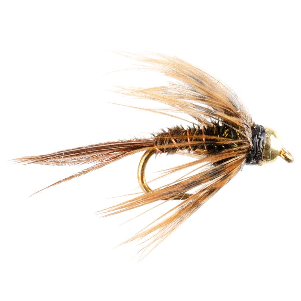 The Fly Fishing Place Fishing Fly Assortments Basics Collection - Bead Head Pheasant Tail Nymph Assortment - 10 Wet Flies - Hook Sizes 14, 16, 18