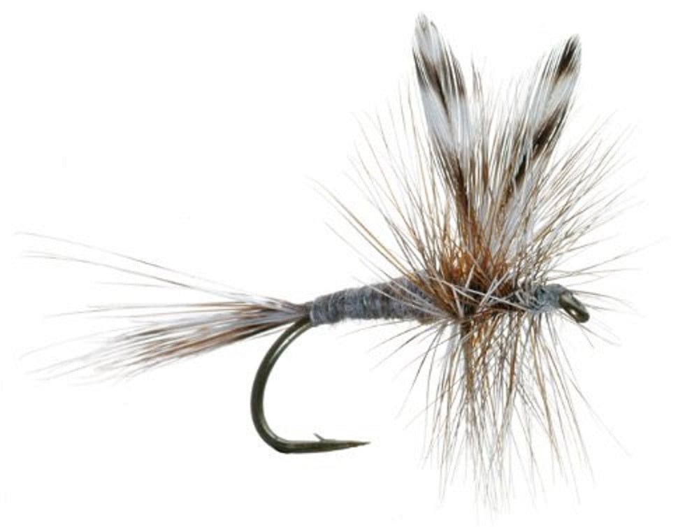 The Fly Fishing Place Fishing Fly Assortments Basics Collection - Classic Dry Fly Assortment - 10 Dry Fishing Flies - 5 Patterns - Hook Sizes 12, 14, 16