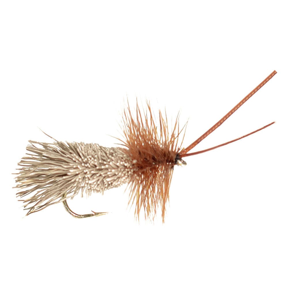 The Fly Fishing Place Fishing Fly Assortments Basics Collection - Essential Caddis Dry Fly Assortment - 10 Dry Fishing Flies - 5 Patterns - Hook Sizes 12, 14, 16, 18