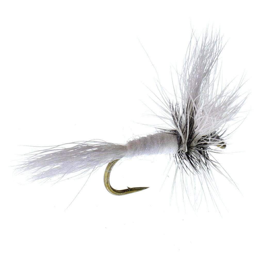 The Fly Fishing Place Fishing Fly Assortments Basics Collection - Wulff Dry Fly Assortment - 10 Dry Fishing Flies - 5 Patterns - Hook Sizes 10, 12, 14