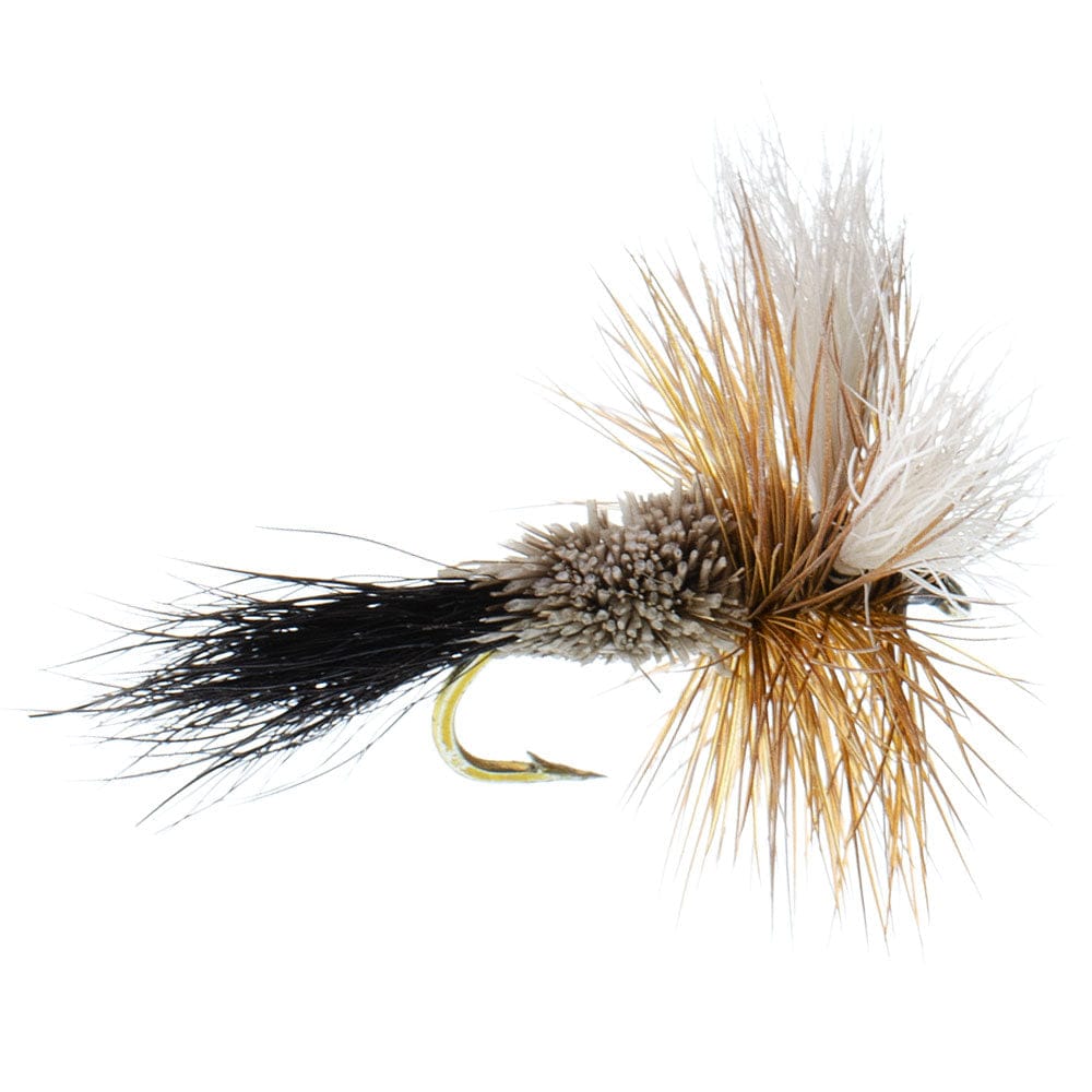 The Fly Fishing Place Fishing Fly Assortments Basics Collection - Wulff Dry Fly Assortment - 10 Dry Fishing Flies - 5 Patterns - Hook Sizes 10, 12, 14