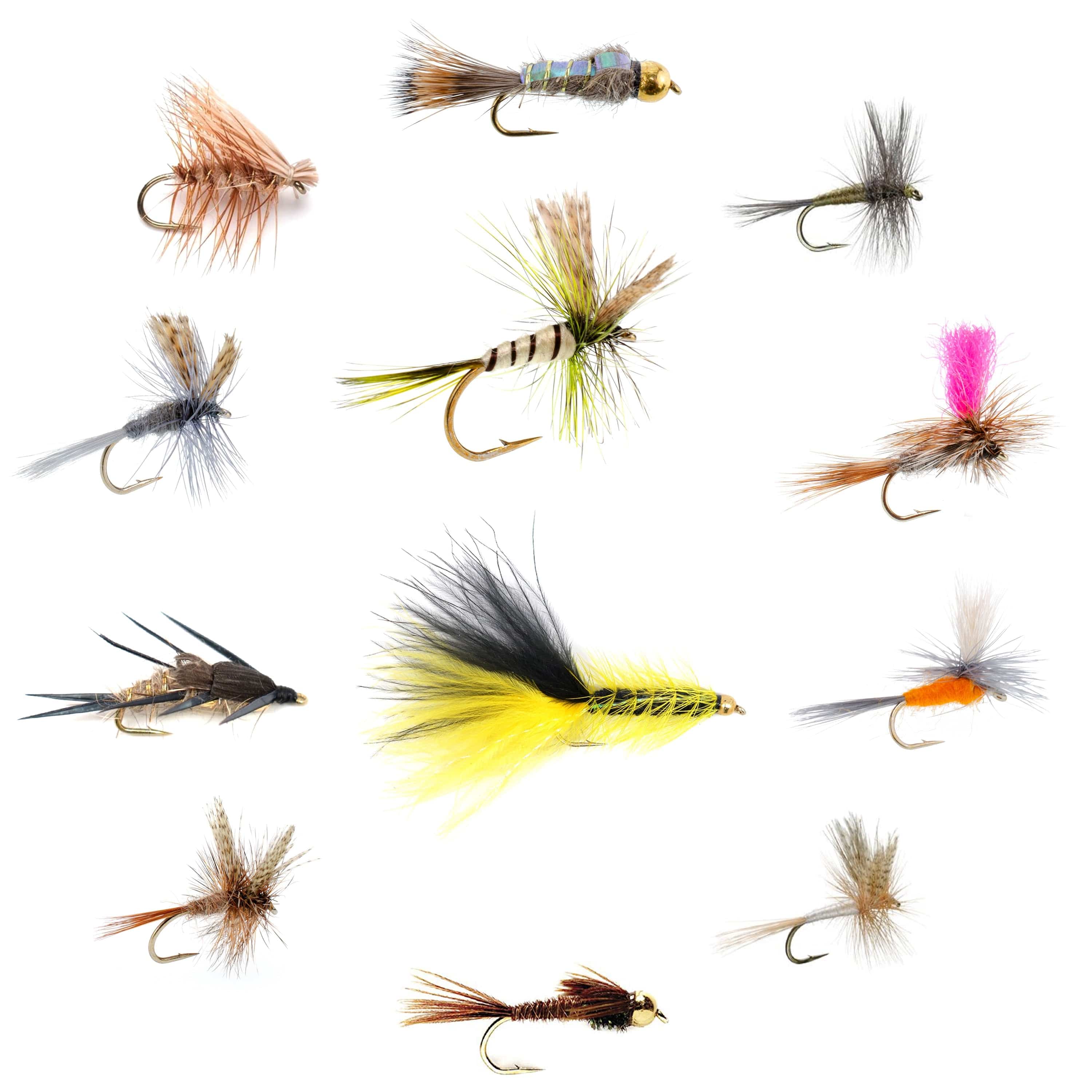 The Fly Fishing Place Fishing Fly Assortments Eastern Trout Fly Assortment - 12 Essential Dry and Nymph Fly Fishing Flies Collection - Trout Flies with Gift Fly Box