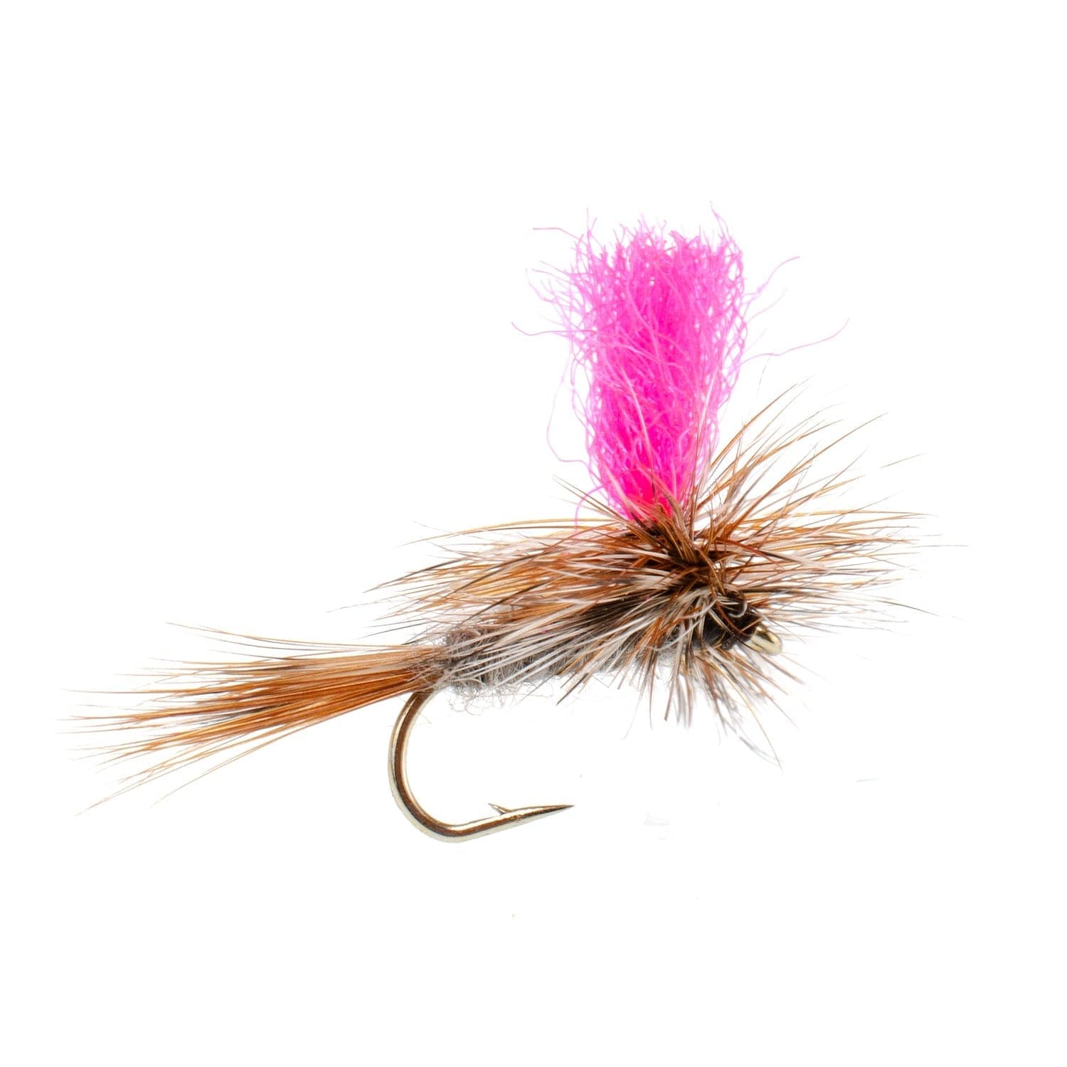 The Fly Fishing Place Fishing Fly Assortments Eastern Trout Fly Assortment - 12 Essential Dry and Nymph Fly Fishing Flies Collection - Trout Flies with Gift Fly Box