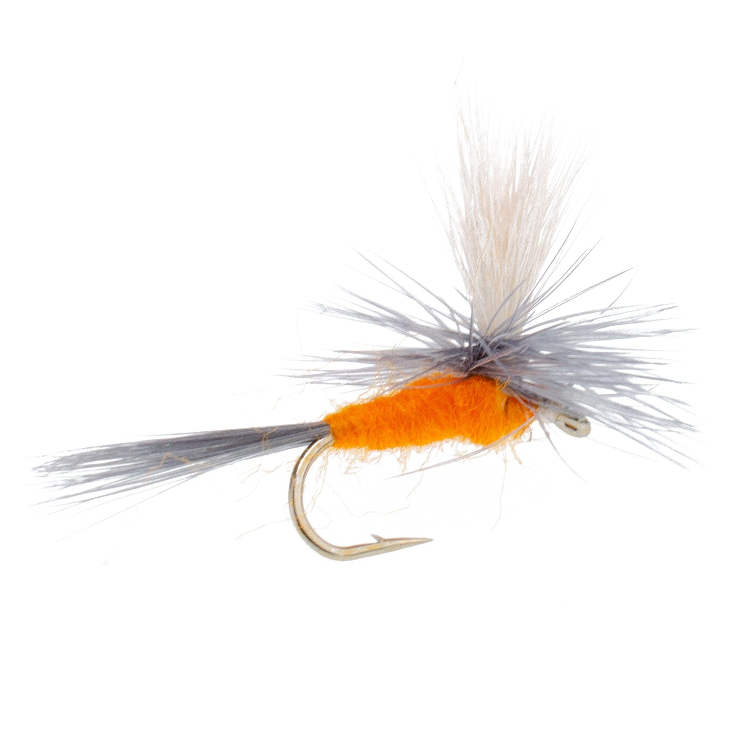 The Fly Fishing Place Fishing Fly Assortments Eastern Trout Fly Assortment - 12 Essential Dry and Nymph Fly Fishing Flies Collection - Trout Flies with Gift Fly Box