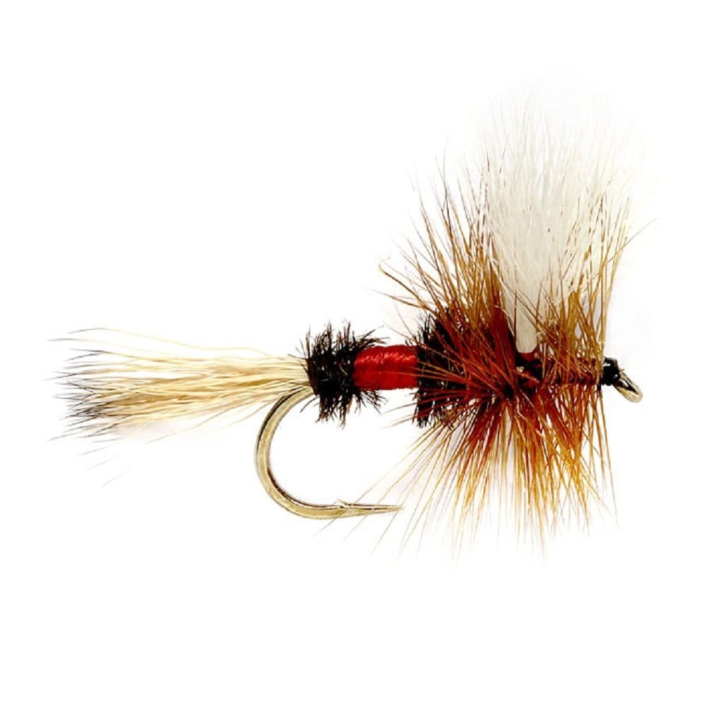 The Fly Fishing Place Fishing Fly Assortments Trout Flies Assortment - 12 Flies for Trout Fly Fishing with Fly Box - Essential Dry and Wet Fly Selection