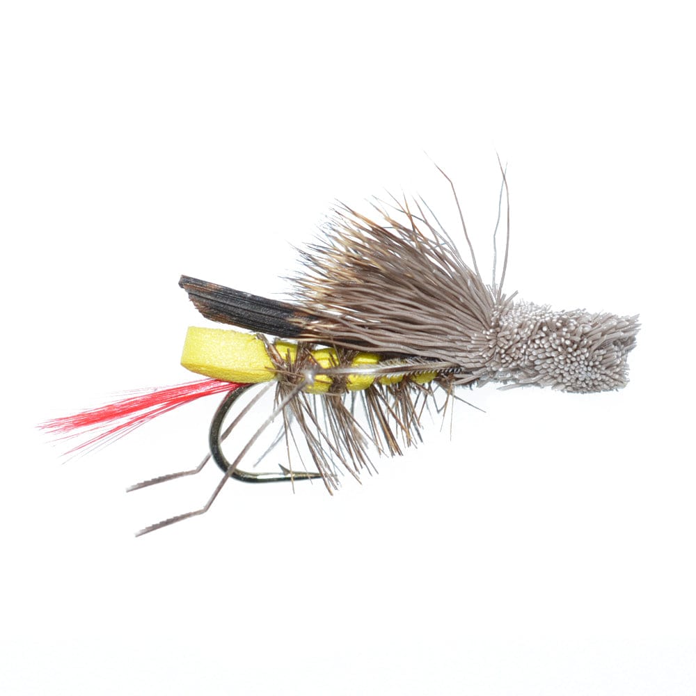 The Fly Fishing Place Fishing Fly Assortments Trout Fly Assortment - Essential Western Dry and Nymph Fly Fishing Flies Collection - 1 Dozen Trout Flies with Fly Box