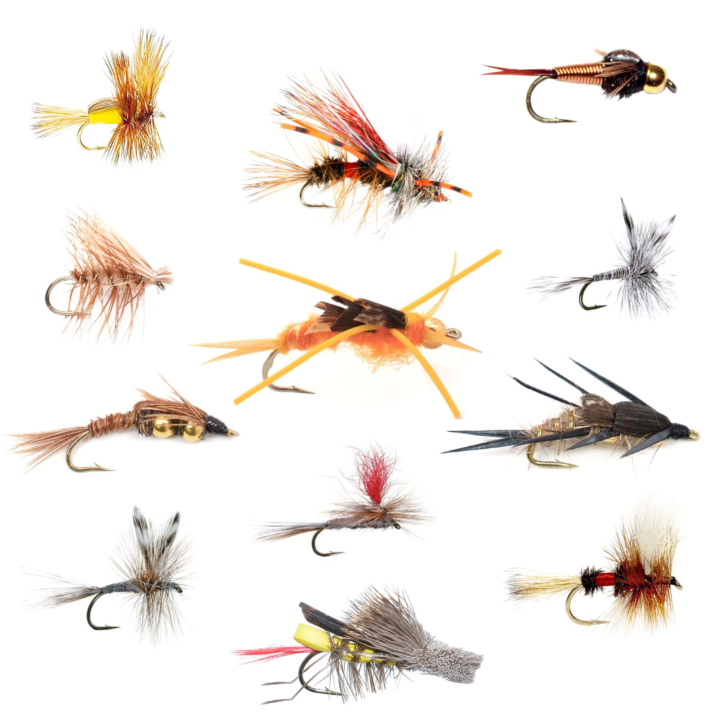 The Fly Fishing Place Fishing Fly Assortments Trout Fly Assortment - Essential Western Dry and Nymph Fly Fishing Flies Collection - 1 Dozen Trout Flies with Fly Box