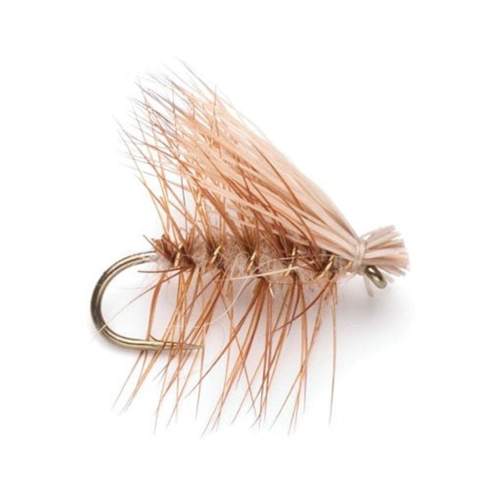 The Fly Fishing Place Fishing Fly Assortments Trout Fly Assortment - Essential Western Dry and Nymph Fly Fishing Flies Collection - 2 Dozen Trout Flies with Fly Box