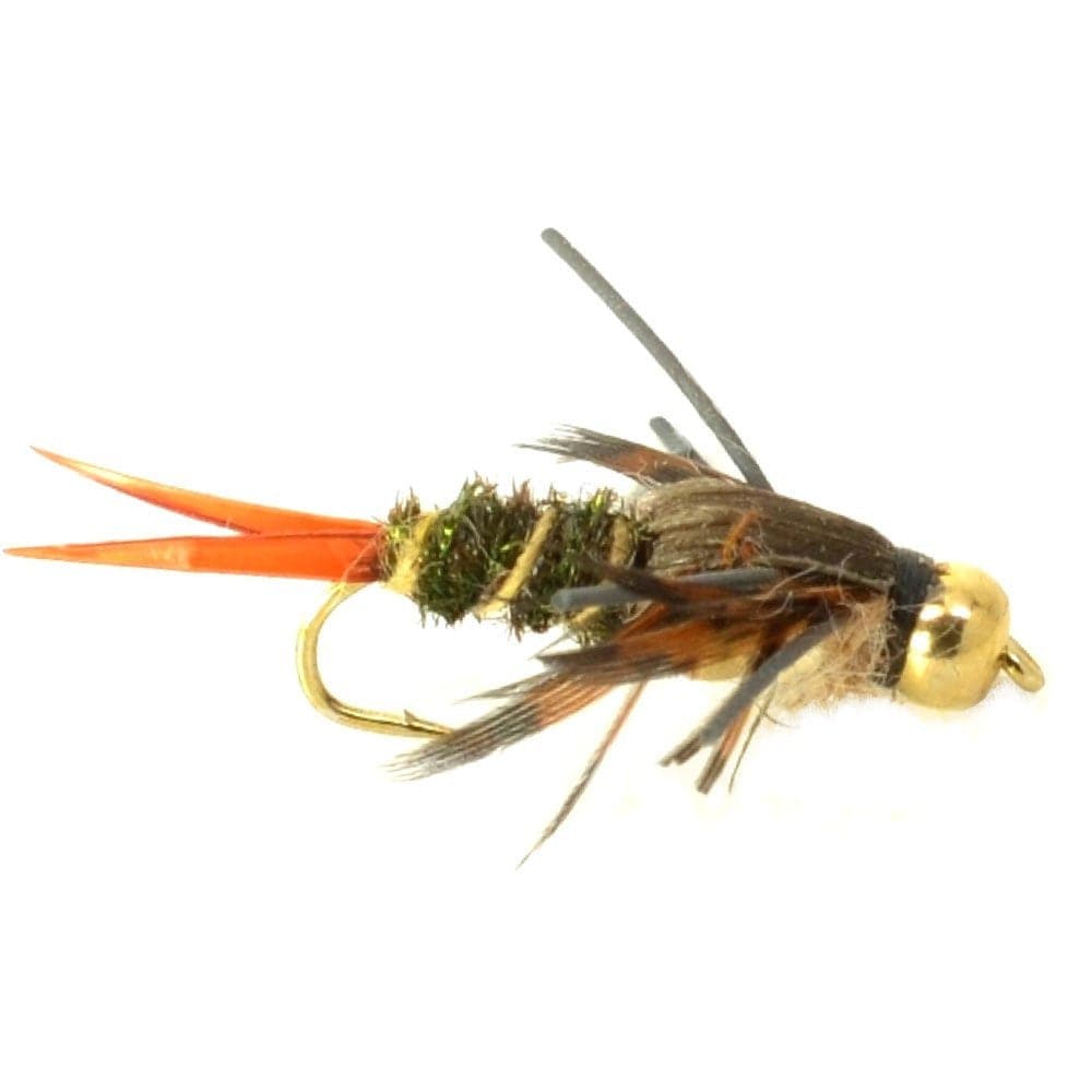 The Fly Fishing Place Nymph Flies Basics Collection - Double Bead Head Nymph Assortment - 10 Wet Flies - 5 Patterns - Hook Size 12