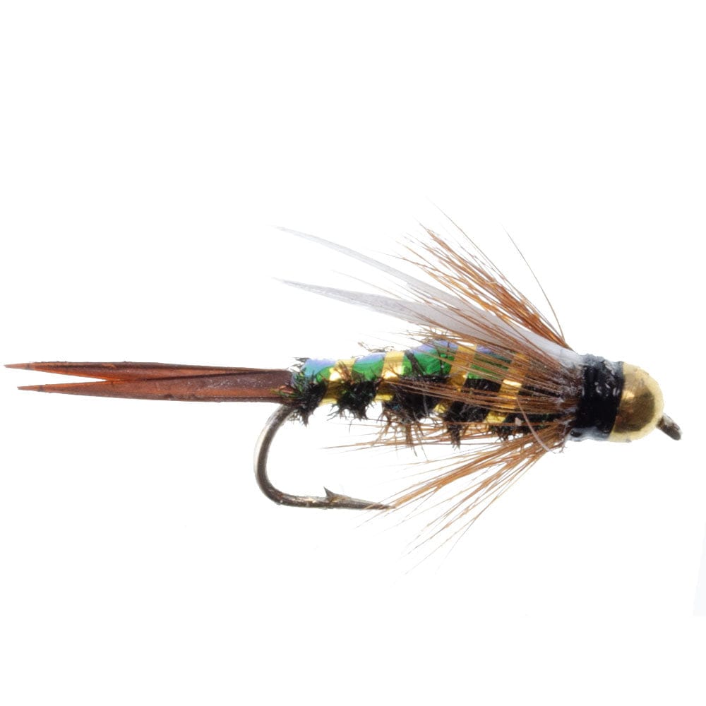 The Fly Fishing Place Nymph Flies Basics Collection - Flash Back Tungsten Bead Head Nymph Assortment - 10 Wet Flies - 5 Patterns - Hook Sizes 10, 12, 14, 16