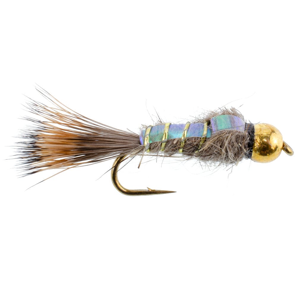 The Fly Fishing Place Nymph Flies Basics Collection - Flash Back Tungsten Bead Head Nymph Assortment - 10 Wet Flies - 5 Patterns - Hook Sizes 10, 12, 14, 16