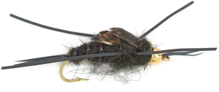 The Fly Fishing Place Nymphs Basics Collection - Kaufmann's Tungsten Bead Black Stonefly Nymph Assortment 10 Bead Head Rubber Legs Wet Flies - 2 Each Hook Sizes 4, 6, 8, 10, and 12