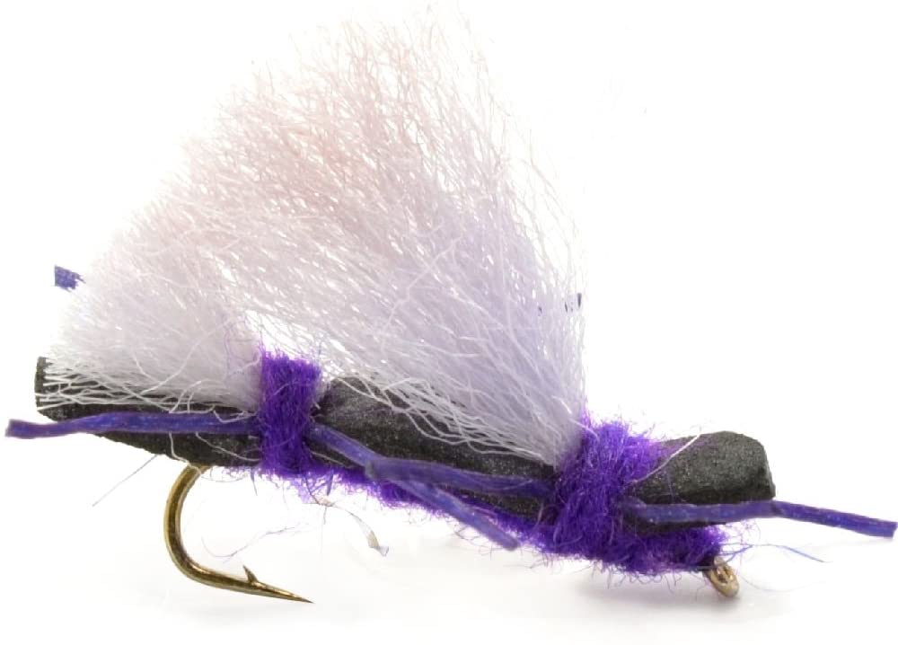 The Fly Fishing Place Terrestrials Basics Collection - Chernobyl Ant Foam Dry Fly Assortment - 10 Dry Fishing Grasshopper Flies - 5 Patterns - Hook Size 10