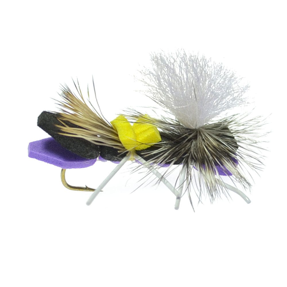 The Fly Fishing Place Terrestrials Basics Collection - Parachute Chernobyl Ant Foam Dry Fly Assortment - 10 Dry Fishing Grasshopper Dropper Flies - 5 Patterns - Hook Size 10