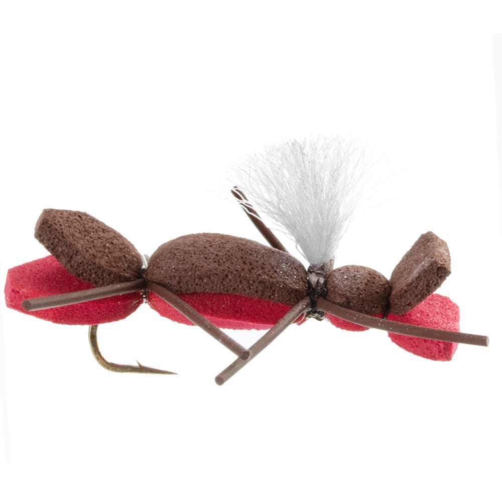 The Fly Fishing Place Terrestrials Basics Collection - Parachute Chernobyl Ant Foam Dry Fly Assortment - 10 Dry Fishing Grasshopper Dropper Flies - 5 Patterns - Hook Size 10