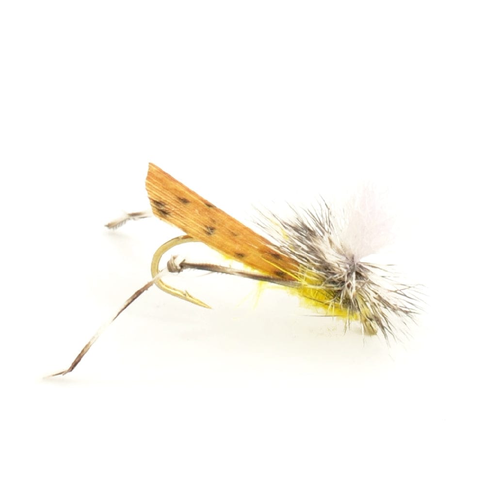 The Fly Fishing Place Terrestrials Basics Collection - Terrestrials Dry Fly Assortment - 10 Dry Fishing Flies - Hopper, Ant and Beetle Fishing Fly Patterns - Hook Sizes 10, 12 and 14
