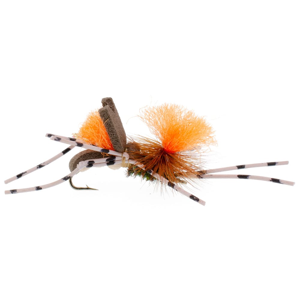 The Fly Fishing Place Terrestrials Trout Fly Assortment - Dropper Hopper Foam Body 12 Flies 4 Patterns Trout Fishing Fly Collection