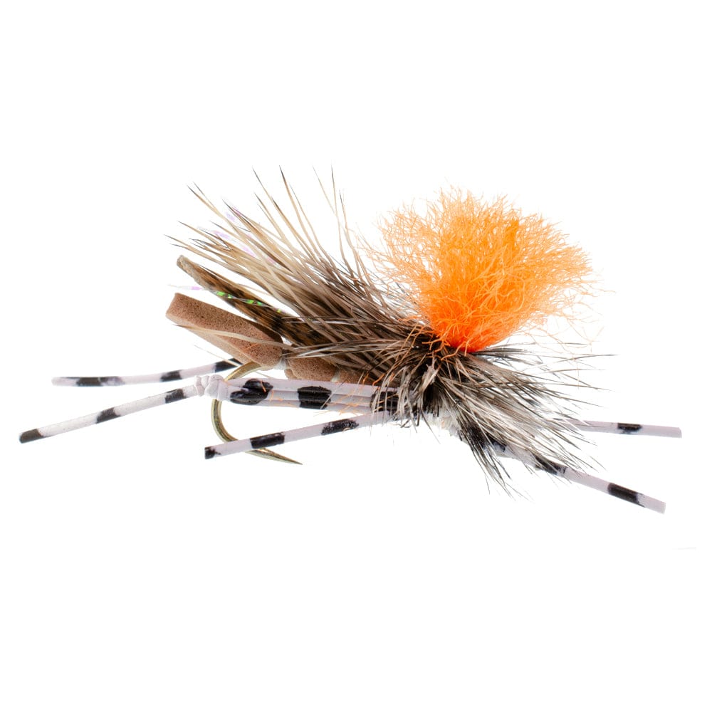 The Fly Fishing Place Terrestrials Trout Fly Assortment - High Visibility Feth Grasshopper Dry Fly Collection 1 Dozen Flies - Foam Body Hopper Flies - Size 10