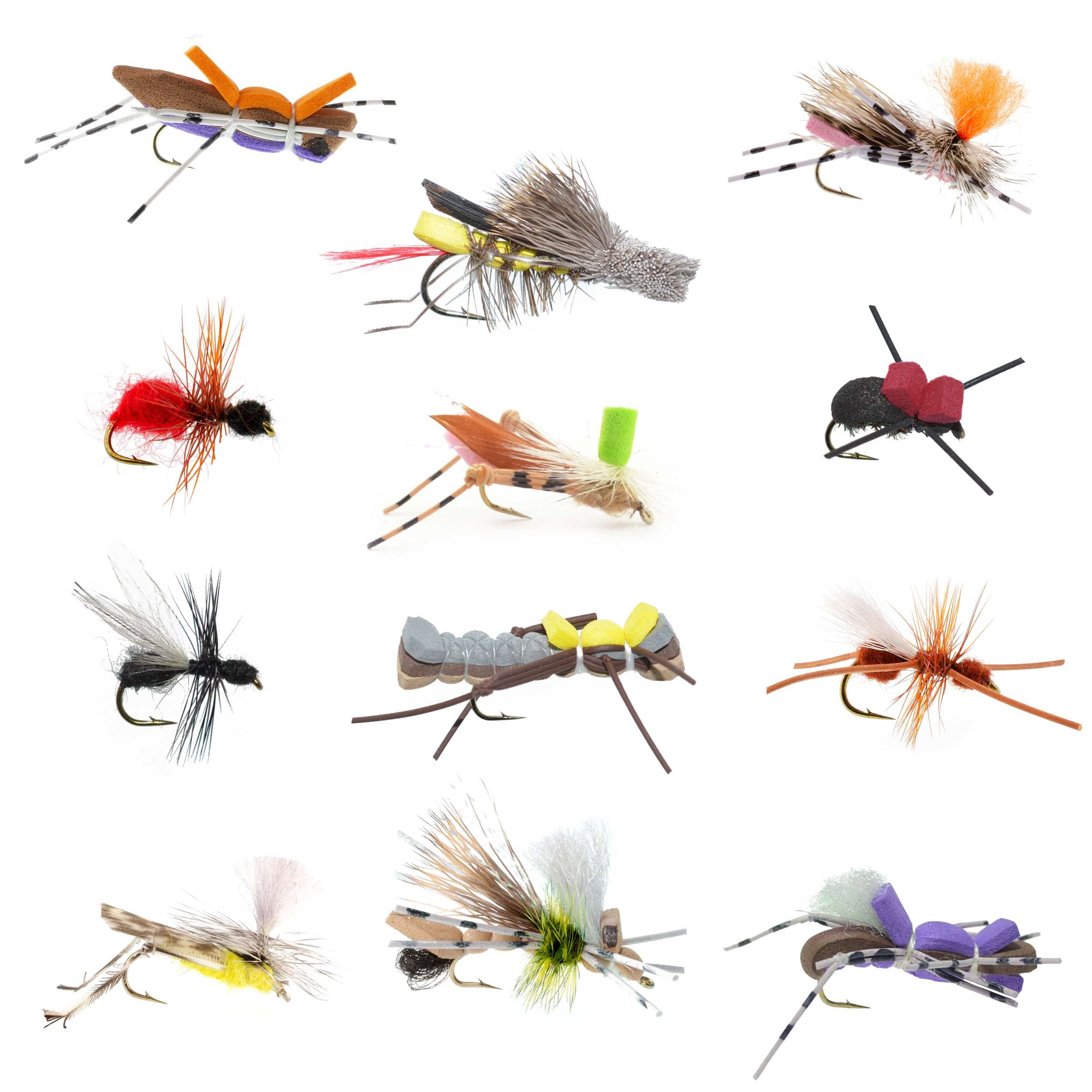 The Fly Fishing Place Terrestrials Trout Fly Assortment - Premium Terrestrial Flies - 12 Essential Hoppers, Ants and Beetles with Fly Box
