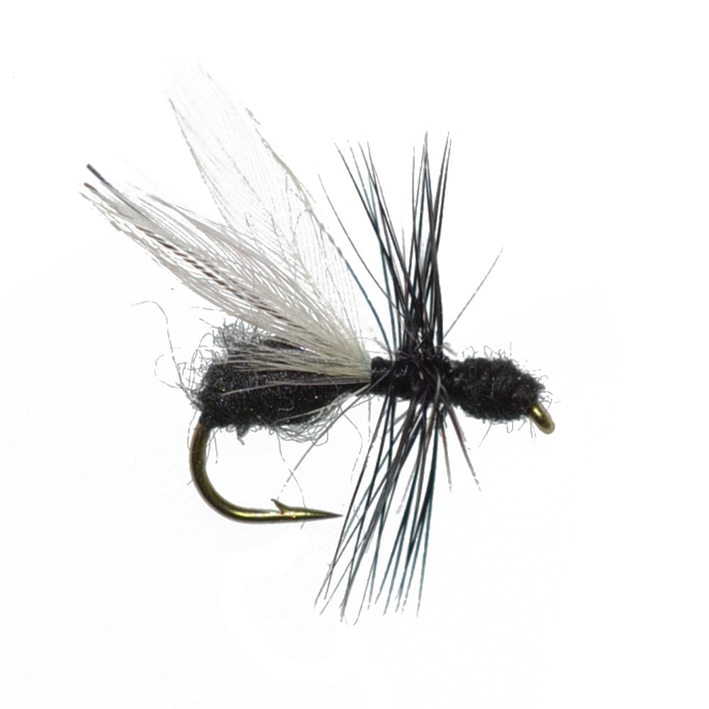The Fly Fishing Place Terrestrials Trout Fly Assortment - Premium Terrestrial Flies - 24 Essential Hoppers, Ants and Beetles with Fly Box