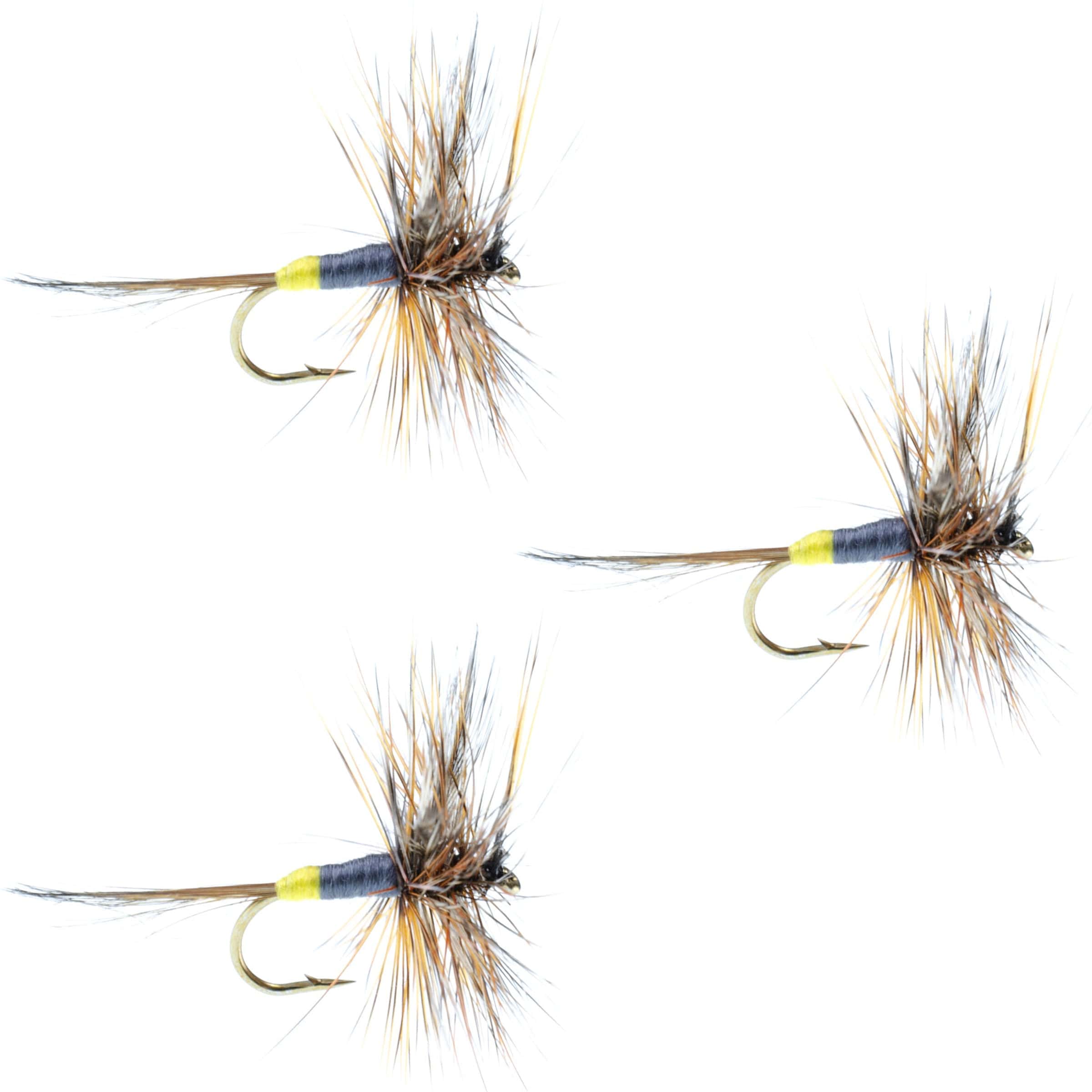 The Fly Fishing Place Trout Dry Flies 3 Pack Adams Female Classic Dry Fly - Hook Size 16
