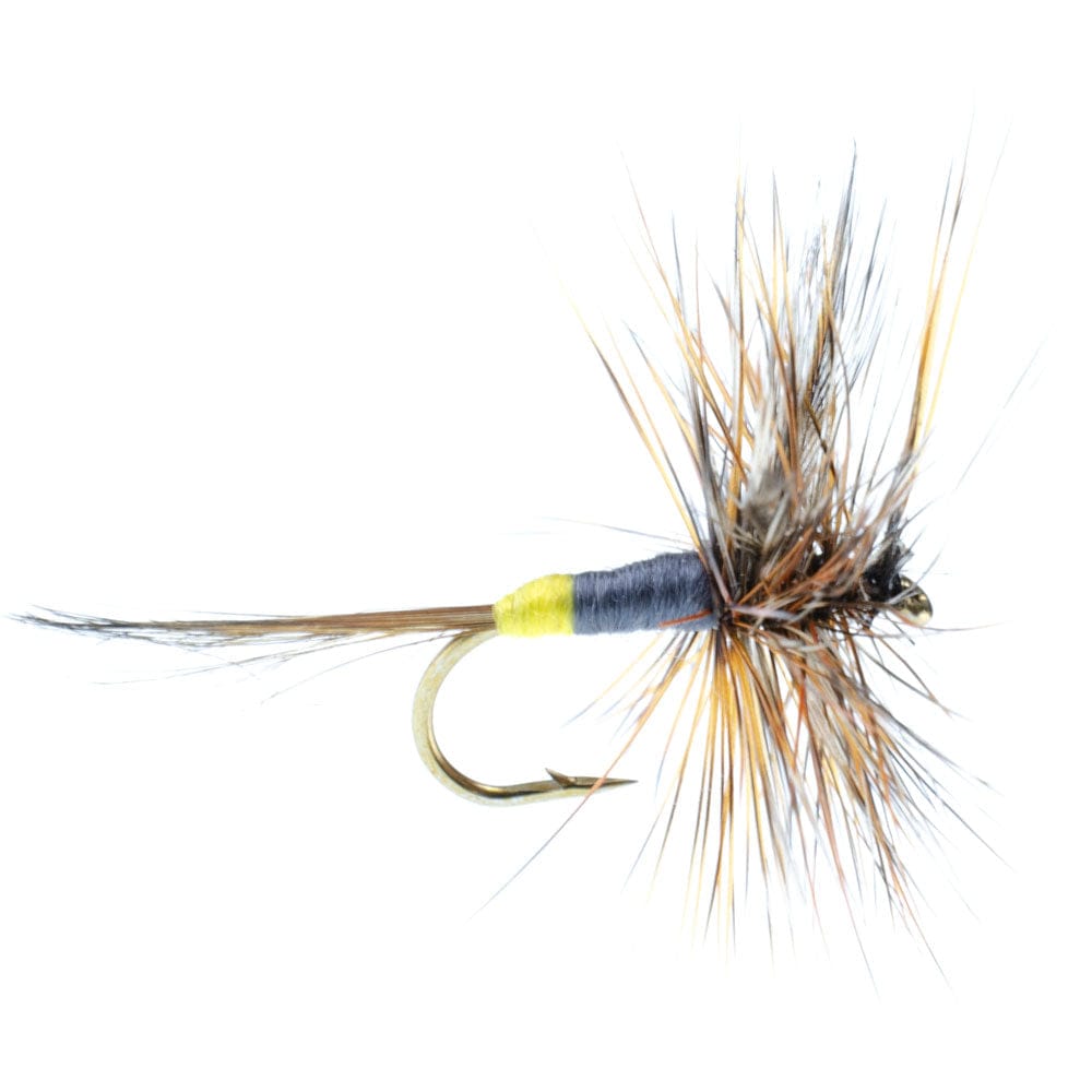 The Fly Fishing Place Trout Dry Flies 3 Pack Adams Female Classic Dry Fly - Hook Size 16