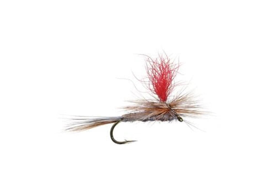 The Fly Fishing Place Trout Dry Flies 3 Pack Adams Hi-Viz Parachute Classic Dry Fly - Hook Size 18